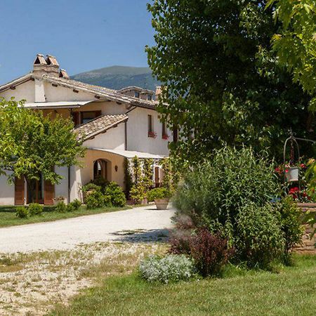 Agriturismo Il Barco Спелло Екстер'єр фото