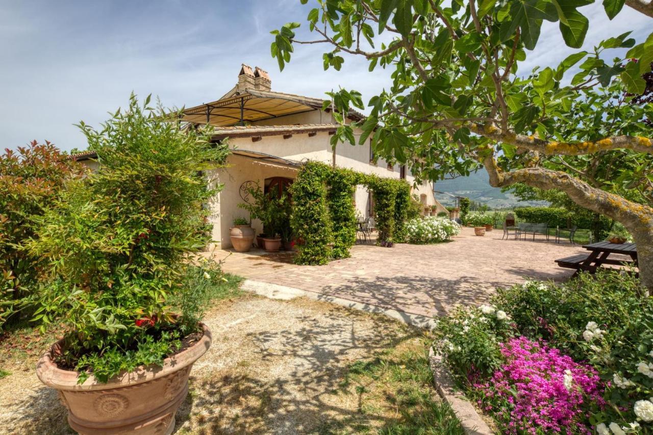 Agriturismo Il Barco Спелло Екстер'єр фото
