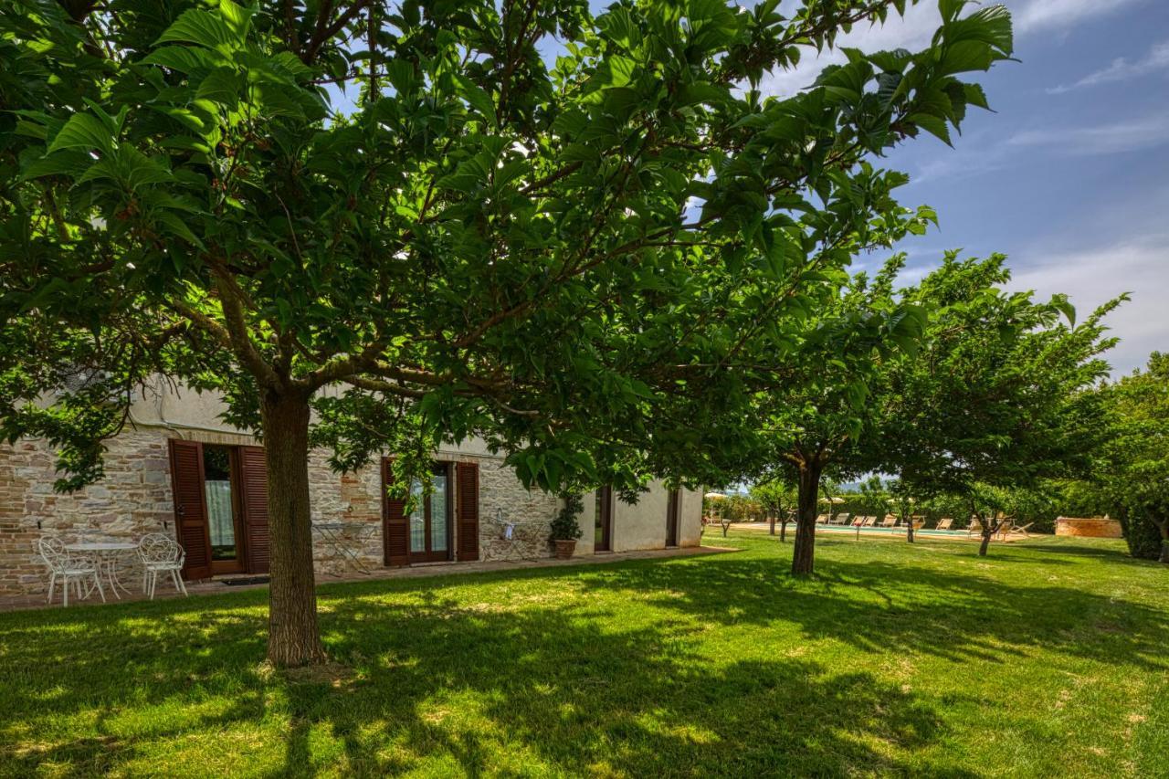 Agriturismo Il Barco Спелло Екстер'єр фото