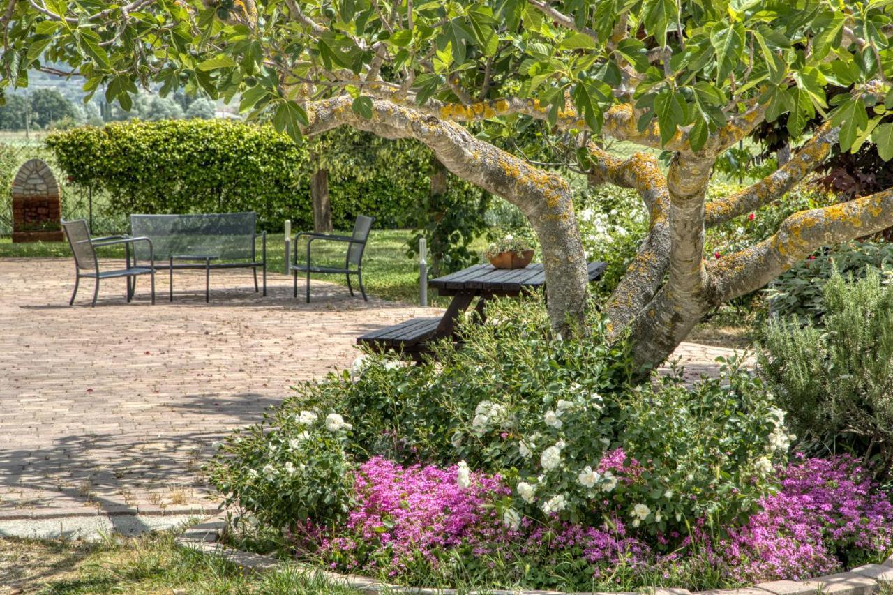 Agriturismo Il Barco Спелло Екстер'єр фото