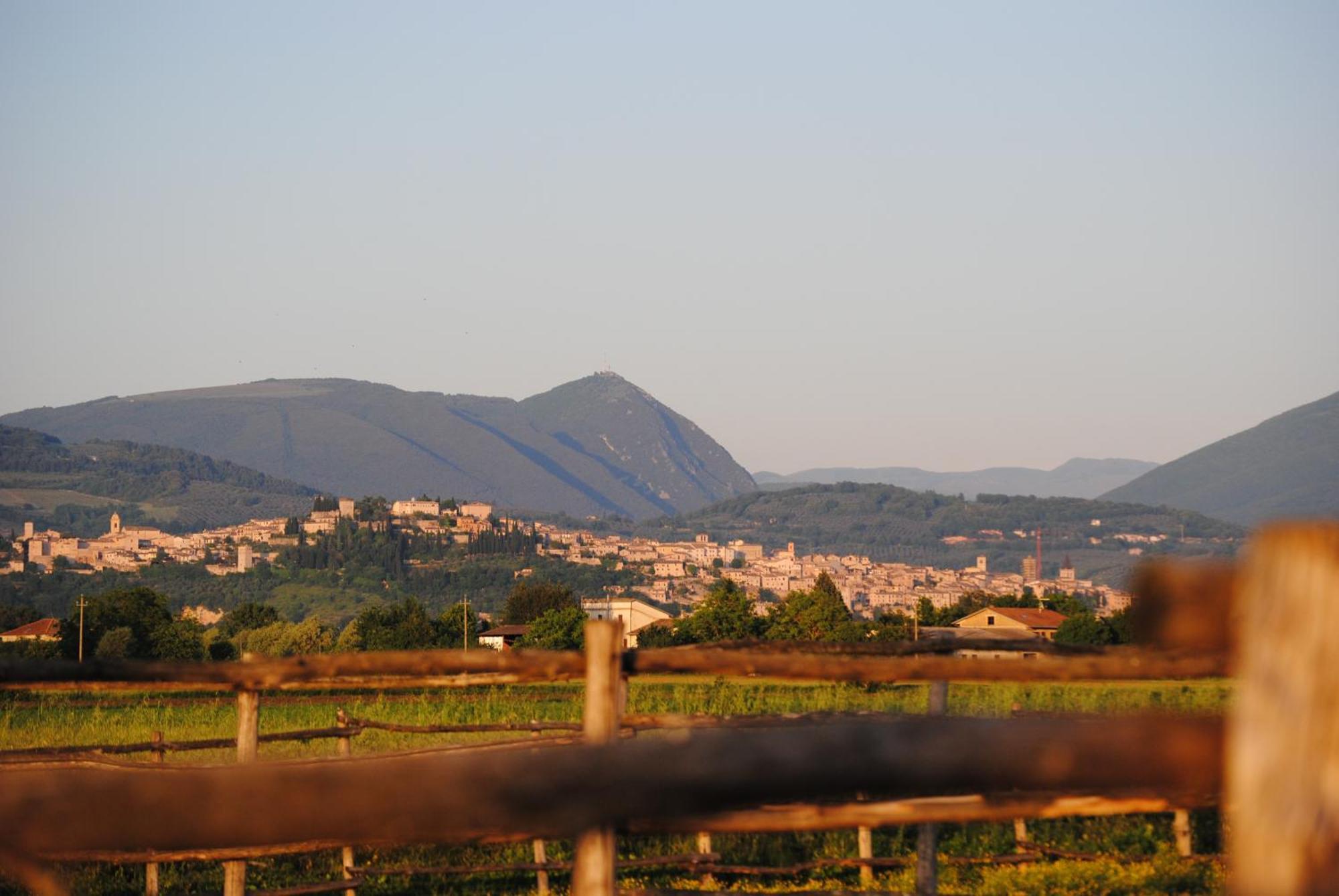 Agriturismo Il Barco Спелло Екстер'єр фото