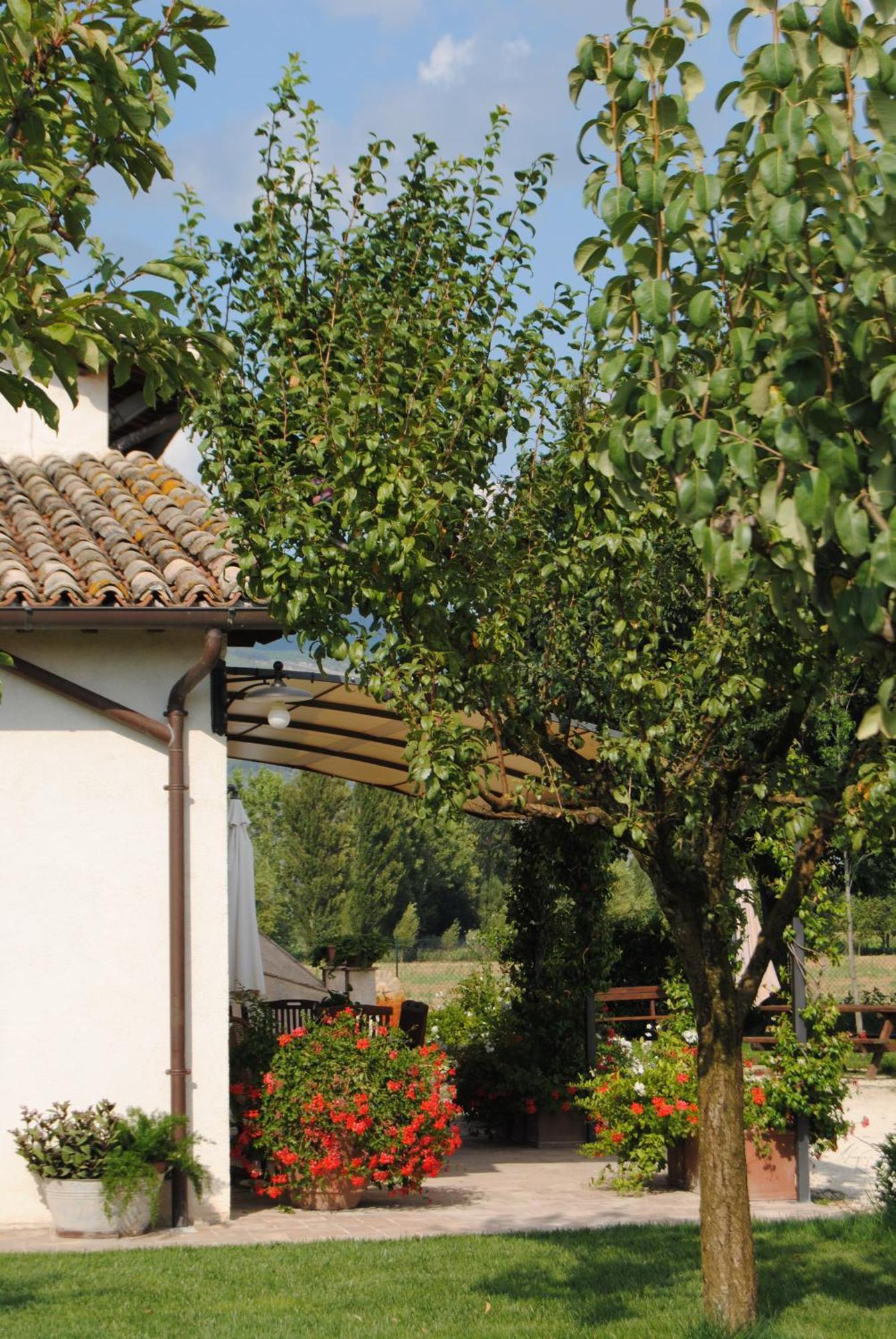 Agriturismo Il Barco Спелло Екстер'єр фото